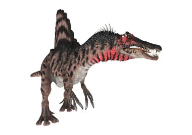 Spinosaurus beyaz arka plan üzerinde izole bir dinozor 3D render