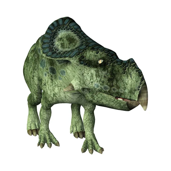 Τρισδιάστατη Απεικόνιση Του Ένα Δεινόσαυρου Πρωτοκεράτοπα Που Απομονώνονται Λευκό Φόντο — Φωτογραφία Αρχείου