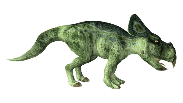 Protoceratops 배경에 고립의 렌더링 — 스톡 사진