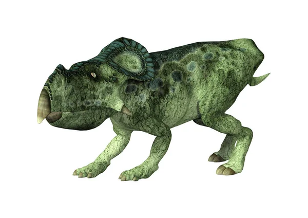 Beyaz Arka Plan Üzerinde Izole Bir Dinozor Protoceratops Render — Stok fotoğraf