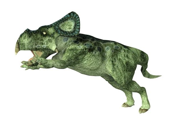 Рендеринг Протоцератопса Динозавра Белом Фоне — стоковое фото