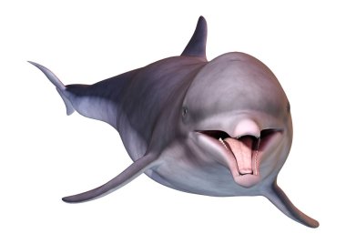 Beyaz arka plan üzerinde izole bir yunusun 3D render