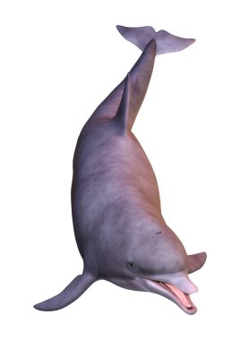 Beyaz arka plan üzerinde izole bir yunusun 3D render