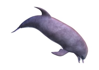 Beyaz arka plan üzerinde izole bir yunusun 3D render