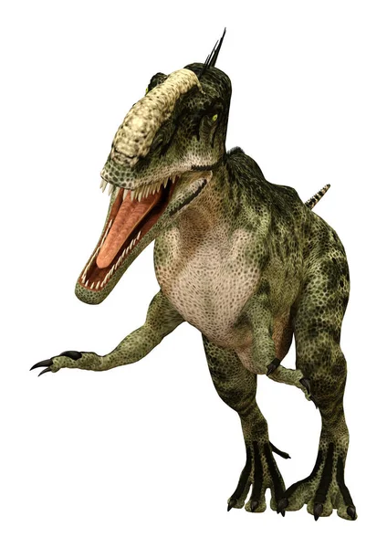 Leképezés Egy Dinoszaurusz Monolophosaurus Elszigetelt Fehér Background — Stock Fotó