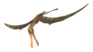 Beyaz arka plan üzerinde Anhanguera izole bir pterodactyl 3D render