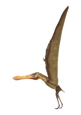 Beyaz arka plan üzerinde Anhanguera izole bir pterodactyl 3D render