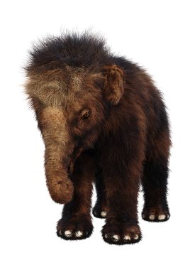 3D rendering of a woolly mammoth baby isolated on white background clipart