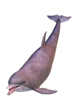 Beyaz arka plan üzerinde izole bir yunusun 3D render