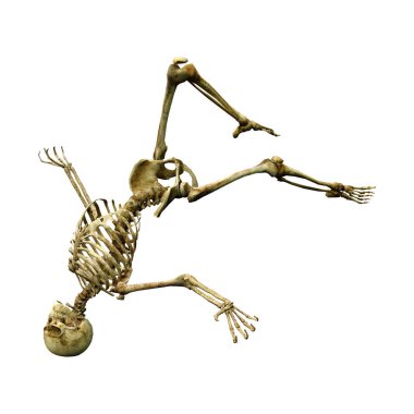 Beyaz arkaplanda izole edilmiş bir insan iskeletinin 3 boyutlu görüntülenmesi