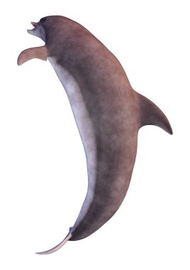 Beyaz arka plan üzerinde izole bir yunusun 3D render