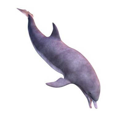 Beyaz arka plan üzerinde izole bir yunusun 3D render