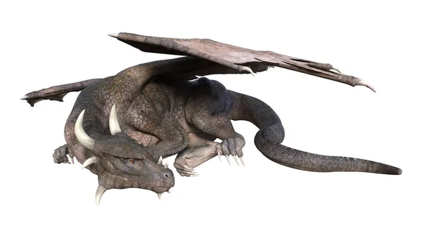 Darstellung Eines Fantasie Drachen Isoliert Auf Weißem Hintergrund — Stockfoto