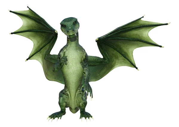 Darstellung Eines Grünen Fantasie Drachen Isoliert Auf Weißem Hintergrund — Stockfoto