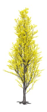 Beyaz arka plan üzerinde izole sarı kavak ağacının 3D render