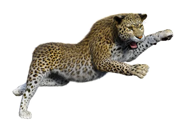 Візуалізація Великого Котячого Леопарда Ізольовано Білому Тлі — стокове фото