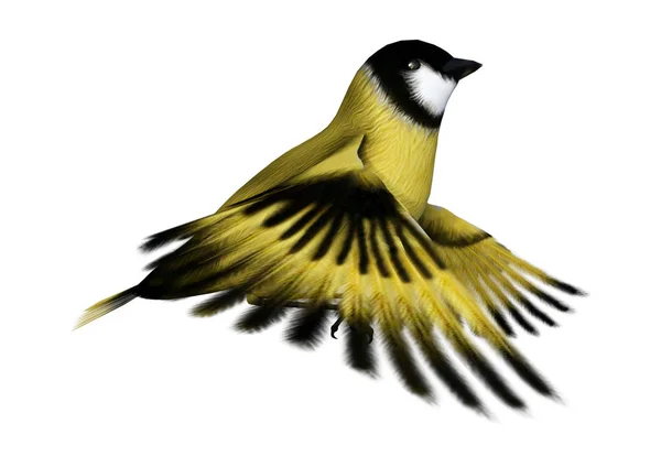 Rendering Flying Songbird Goldfinch Isolated White Background — Stock Photo, Image