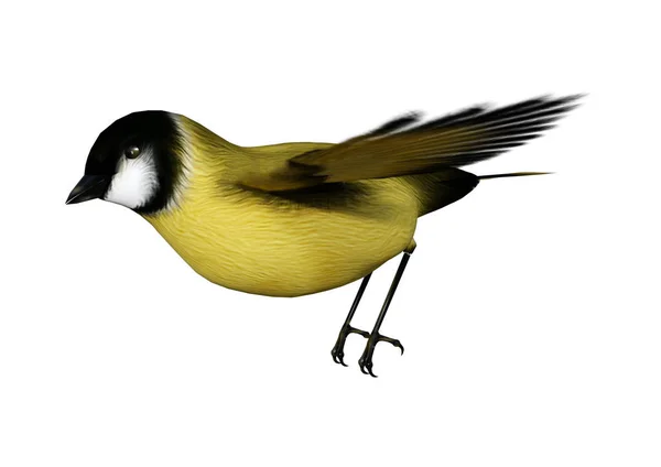 Renderização Pássaro Voador Goldfinch Isolado Fundo Branco — Fotografia de Stock