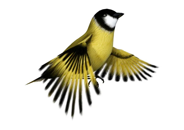 Darstellung Eines Fliegenden Singvogel Stieglitz Isoliert Auf Weißem Hintergrund — Stockfoto