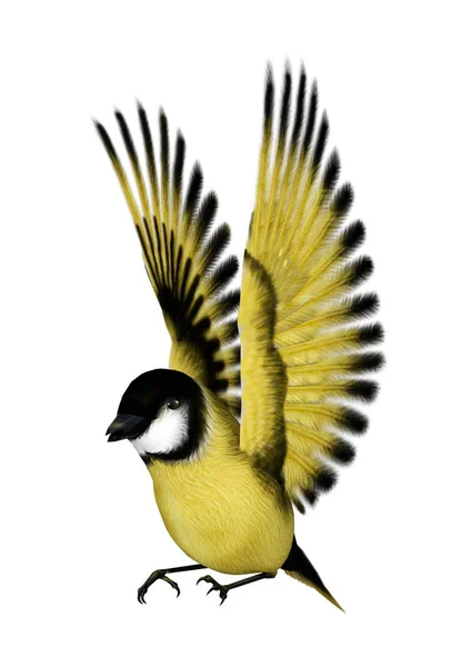 Beyaz Arka Plan Üzerinde Izole Bir Uçan Songbird Sakası Render — Stok fotoğraf