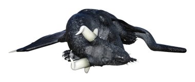 Beyaz arka plan üzerinde izole bir siyah fantezi ejderha 3D render