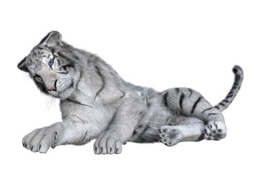 Beyaz arka planda izole edilmiş üç boyutlu beyaz kaplan görüntüsü