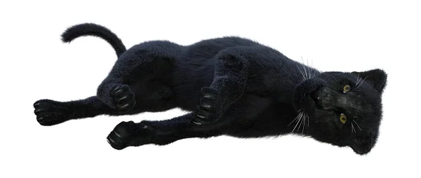 Візуалізація Чорної Пантери Ізольовано Білому Тлі — стокове фото