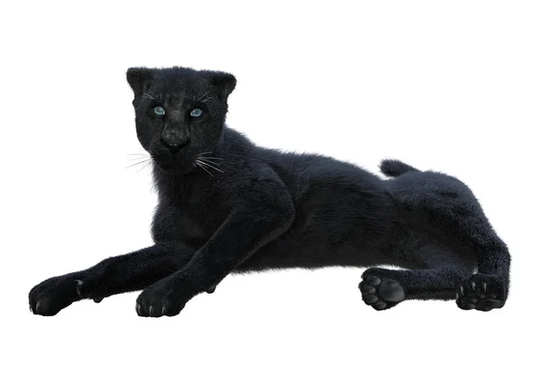 Darstellung Eines Schwarzen Panthers Isoliert Auf Weißem Hintergrund — Stockfoto