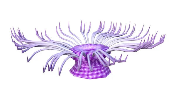 Darstellung Einer Seeanemone Isoliert Auf Weißem Hintergrund — Stockfoto