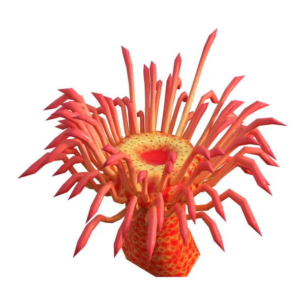 基于白底背景的红海海葵3D绘制 — 图库照片