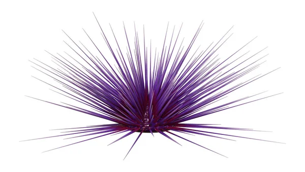 渲染在白色背景查出的紫色海胆 — 图库照片
