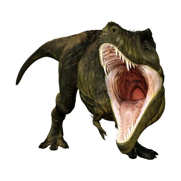 Beyaz Zemin Üzerinde Izole Edilmiş Bir Dinozor Tyrannosaurus Rex Görüntüsü — Stok fotoğraf