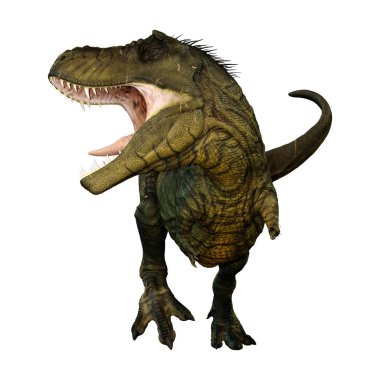 Beyaz zemin üzerinde izole edilmiş bir dinozor Tyrannosaurus Rex 'in 3D görüntüsü