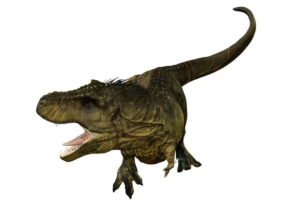 Renderowanie Dinozaura Tyranozaura Rex Izolowany Białym Tle — Zdjęcie stockowe