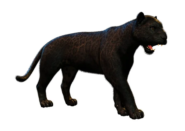 Rendering Einer Raubkatze Schwarzer Panther Isoliert Auf Weißem Hintergrund — Stockfoto