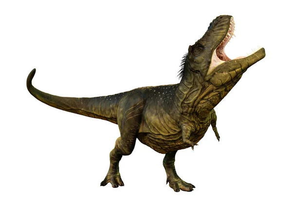 白い背景に孤立した恐竜ティラノサウルスレックスの3Dレンダリング — ストック写真