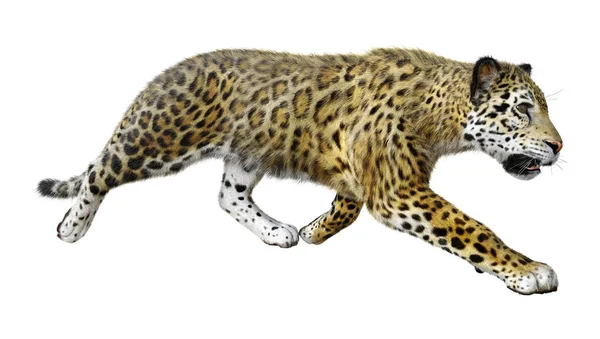 Rendering Grande Giaguaro Gatto Isolato Sfondo Bianco — Foto Stock