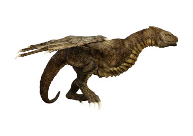 Beyaz arka planda izole edilmiş bir fantezi ejderhanın 3 boyutlu canlandırması