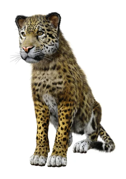 Rendering Big Cat Jaguar Isolated White Background — Stock Photo, Image