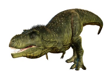 Beyaz zemin üzerinde izole edilmiş bir dinozor Tyrannosaurus Rex 'in 3D görüntüsü