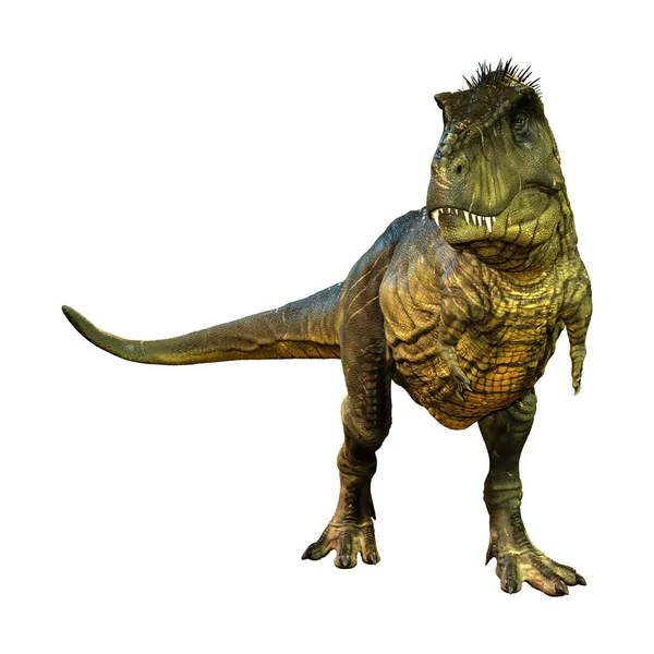 Renderização Dinossauro Tyrannosaurus Rex Isolado Fundo Branco — Fotografia de Stock