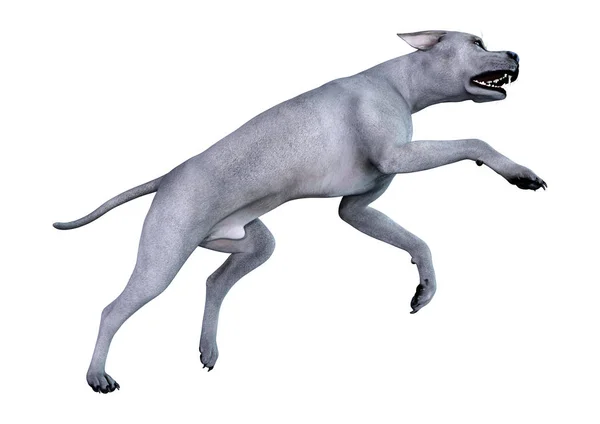白い背景に分離された青いグレートデーン犬の レンダリング — ストック写真