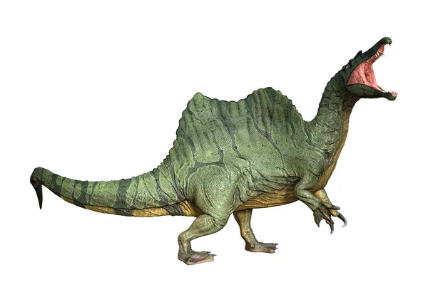 Рендеринг Динозавра Спинозавра Белом Фоне — стоковое фото