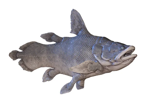 Mawsonia의 렌더링의 물고기에 — 스톡 사진