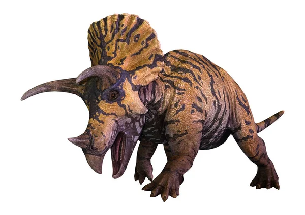 Bir Dinozor Triceratops Beyaz Arka Plan Üzerinde Izole Render — Stok fotoğraf