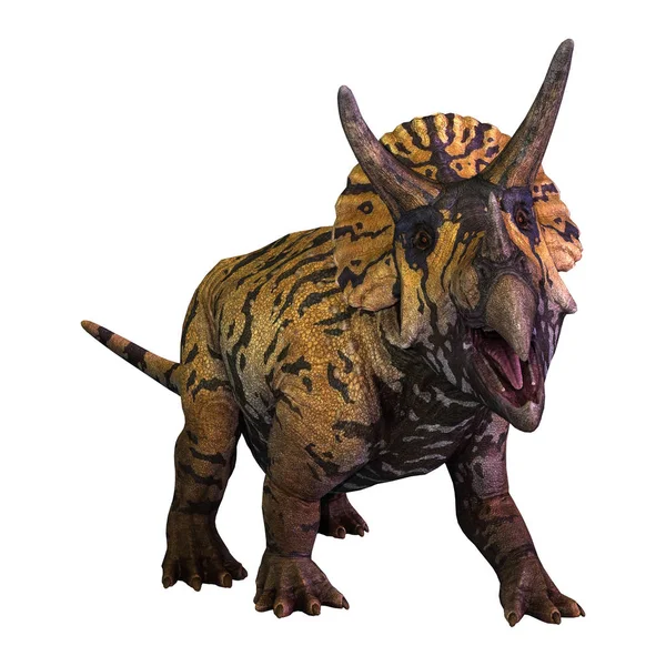 Vykreslování Dinosaura Který Triceratops Izolovaných Bílém Pozadí — Stock fotografie