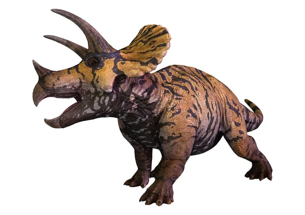 Weergave Van Een Dinosaurus Die Triceratops Geïsoleerd Witte Achtergrond — Stockfoto