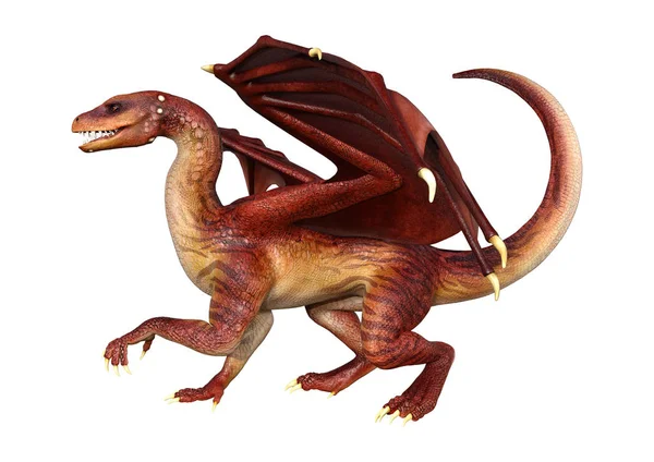 Rendering Drago Fantasy Rosso Isolato Sfondo Bianco — Foto Stock