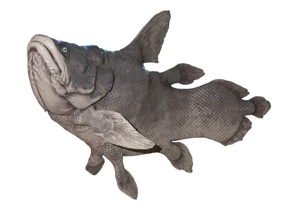 Mawsonia レンダリング先史時代のシーラカンスの絶滅した属の魚に孤立した白い背景 — ストック写真