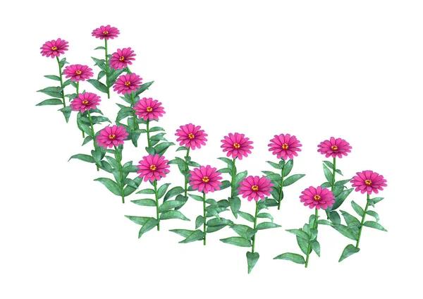 Visszaadás Ból Rózsaszín Gerbera Virágok Elszigetelt Fehér Background — Stock Fotó